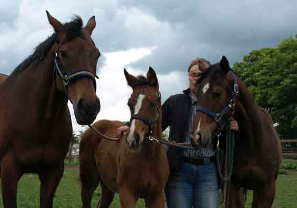 Park Lane (by Quilted x Empress by Caliban) with her 2009 colt foal and her 2008 filly yearling Park Dancer, both by Final Appearance (Sadler's Wells)