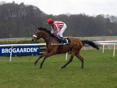 May Spirit born 2004 by Final Appearance x Mayfair