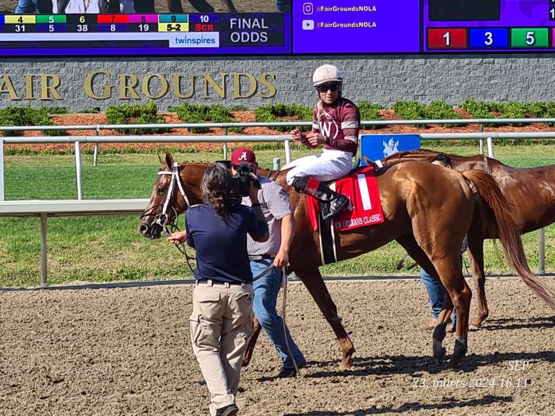 Red Route One by Gun Runner, New Orleans Classic(Gr.2)