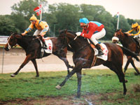 Reel Line wins Petit Prix 1993, Silke Pieterse up