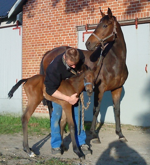 Filly foal born 20100527 by Academy Award x Chalet by Singspiel. 9 hours old